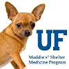 Vital Lifesaving Tools from UF Conference
